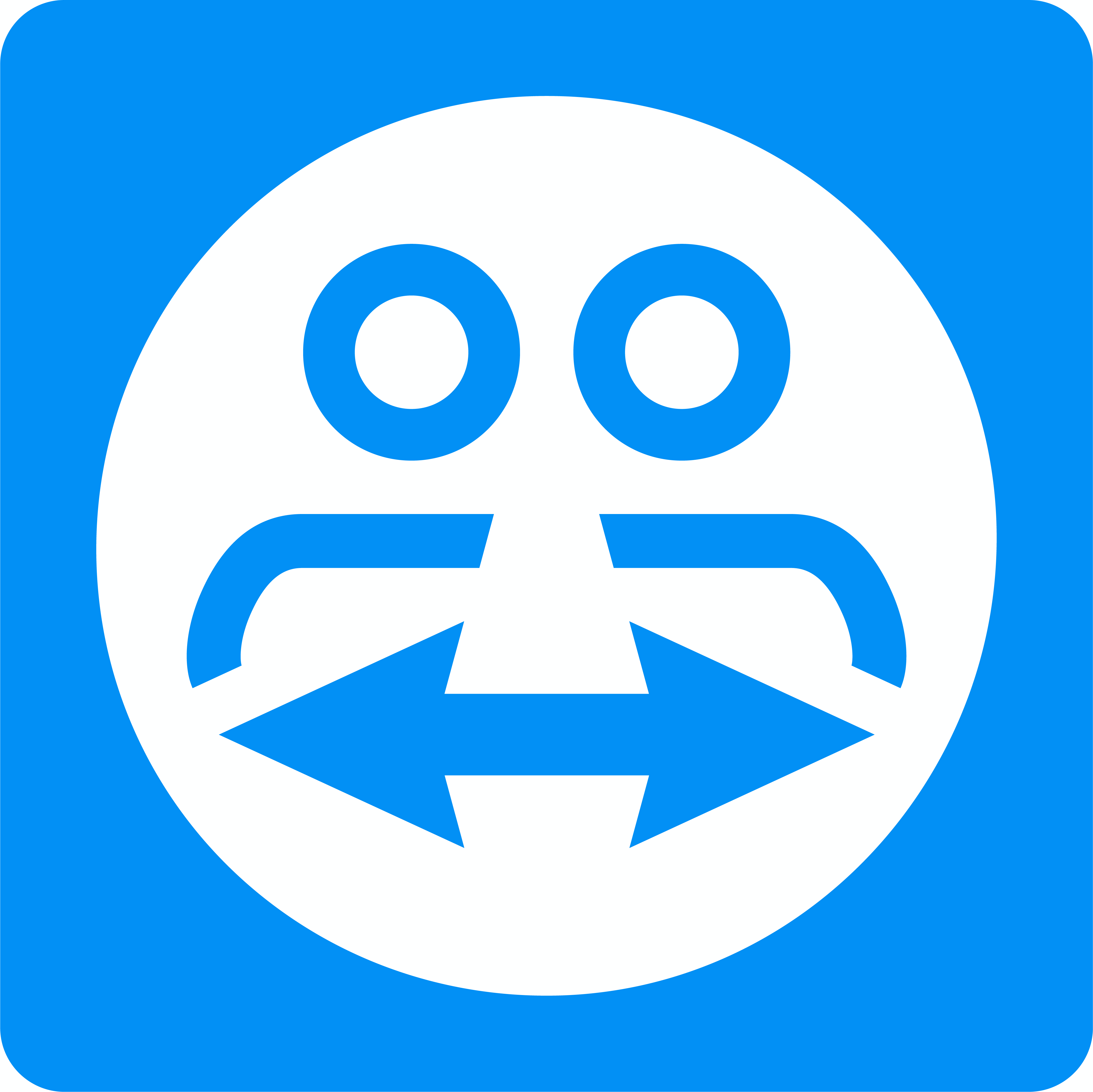TeamViewer Meeting