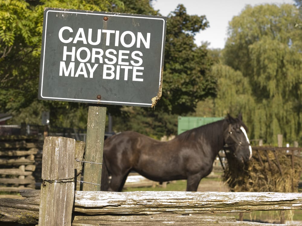 Ponies Укус: И другие реалии Будучи программного обеспечения Санта