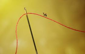 5 программных решений для церквей с ограниченным бюджетом
