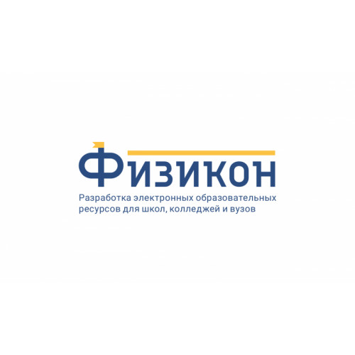 Виртуальный практикум по экономике для ВУЗов